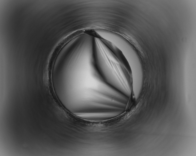 X0000088920784200707061402