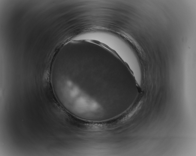 X0000088920785200707061402