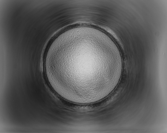 X0000088920791200707061402