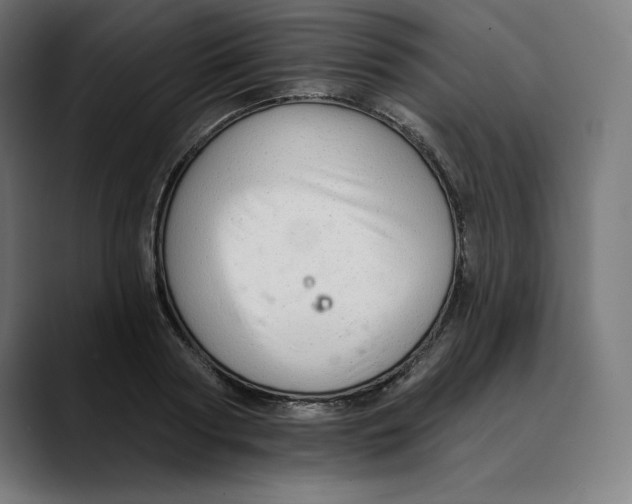 X0000088920794200707061402