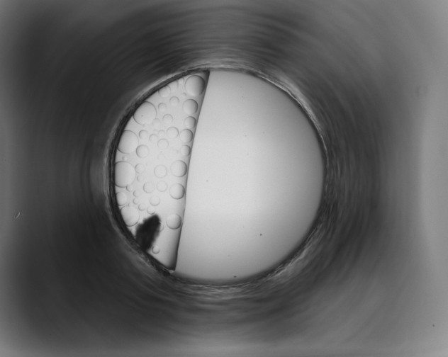 X0000088920795200707061402