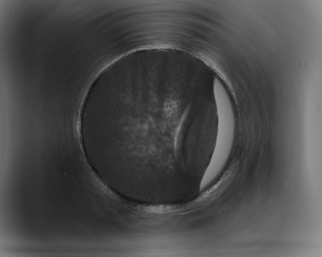 X0000088920797200707061402