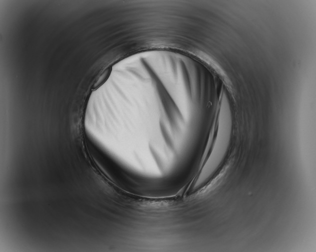 X0000088920801200707061402