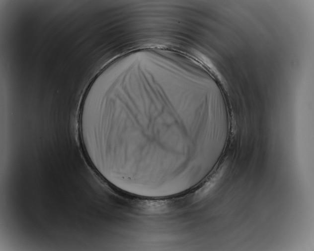 X0000088920802200707061402