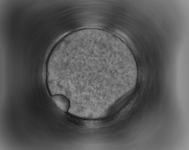 X0000088920804200707061402