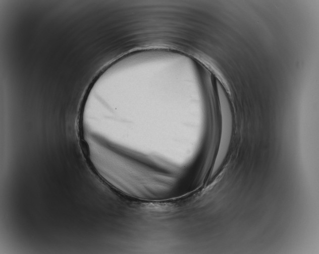 X0000088920805200707061402