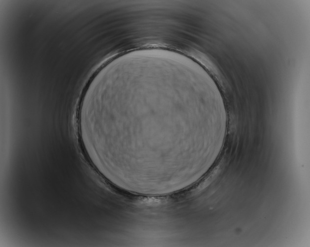 X0000088920806200707061402