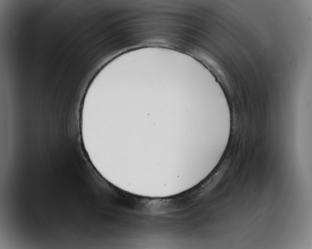 X0000088920808200707061402