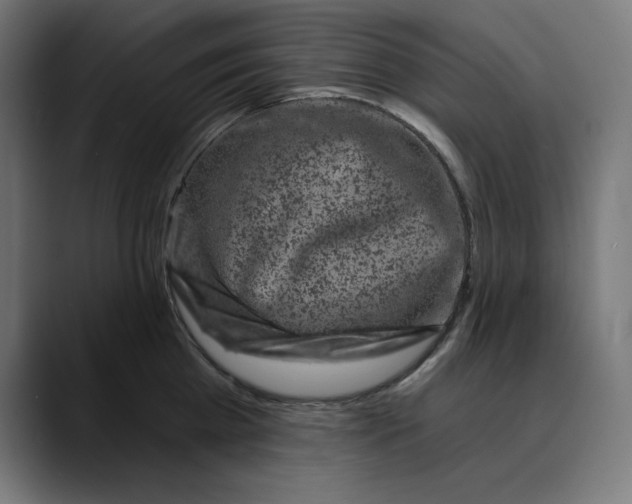 X0000088920809200707061402