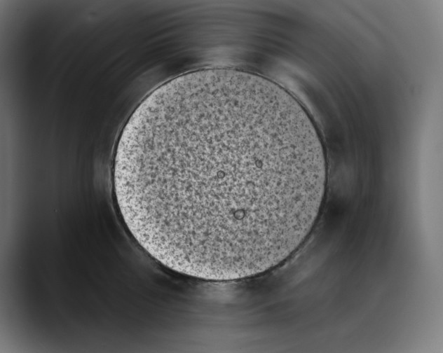X0000088920810200707061402