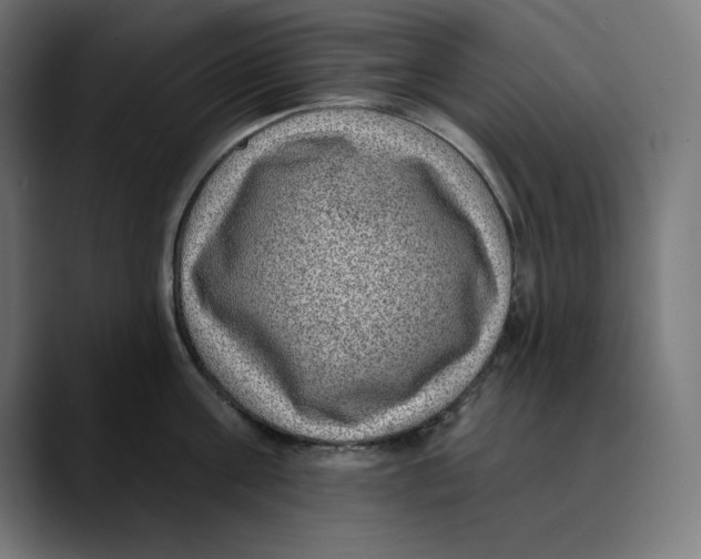 X0000088920811200707061402