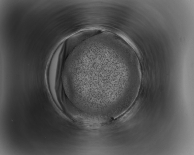 X0000088920813200707061402
