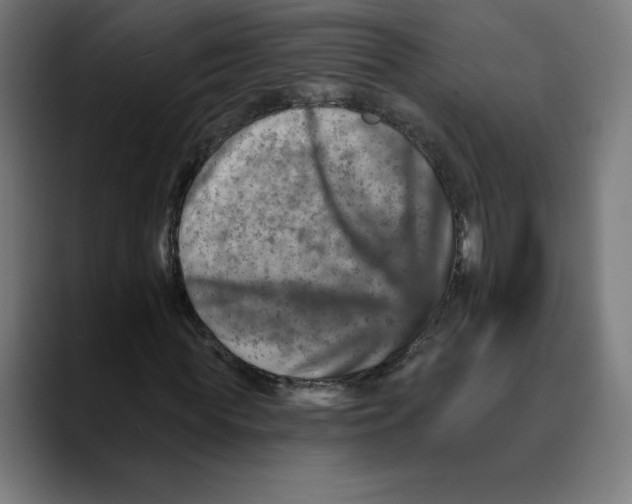 X0000088920819200707061401