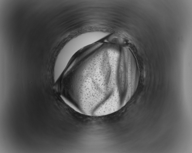 X0000088920822200707061401
