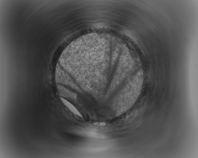X0000088920823200707061402