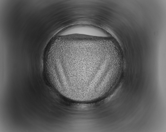 X0000088920829200707061402