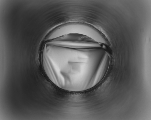 X0000088920830200707061402