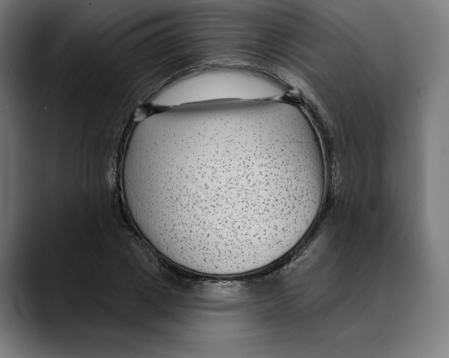 X0000088920833200707061402