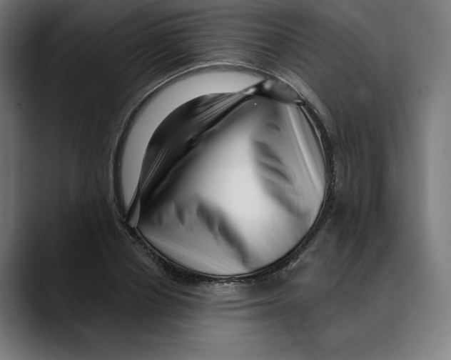 X0000088920834200707061402