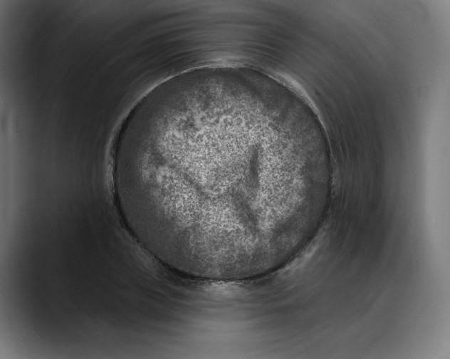 X0000088920835200707061402
