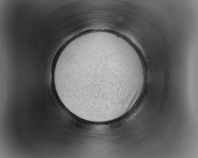 X0000088920837200707061402