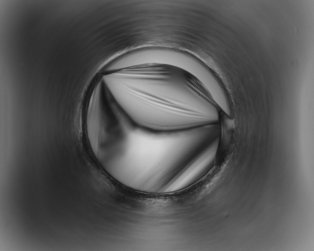 X0000088920838200707061402