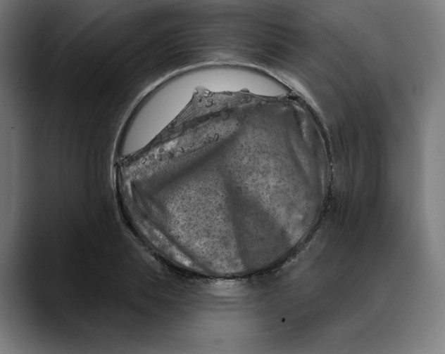 X0000088920839200707061402