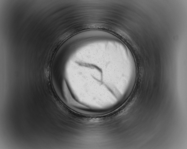 X0000088920841200707061402