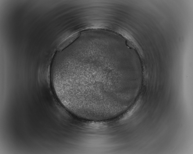 X0000088920842200707061402