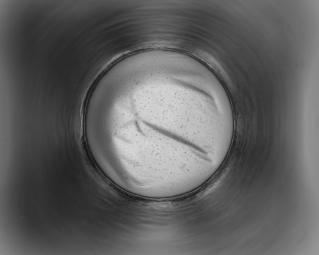 X0000088920844200707061402