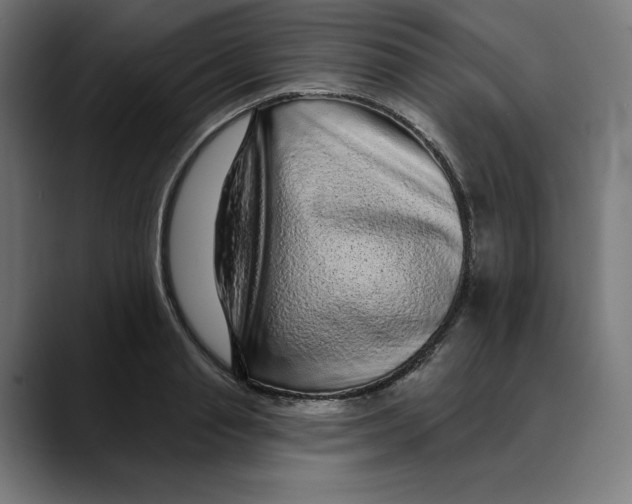 X0000088920845200707061402