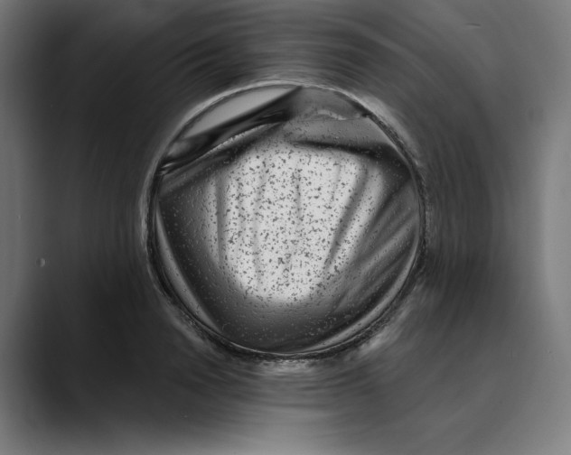 X0000088920846200707061402