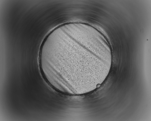 X0000088920847200707061402