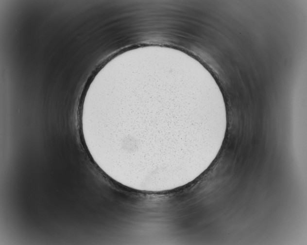 X0000088920848200707061402