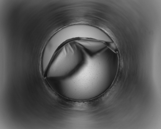 X0000088920850200707061402