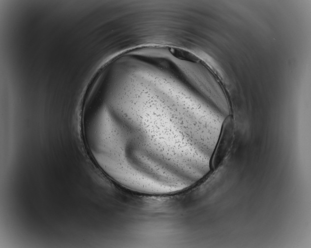 X0000088920854200707061402