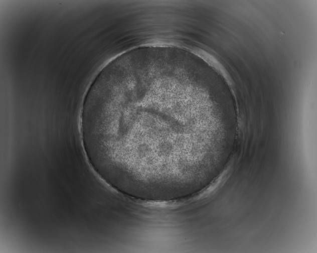 X0000088920855200707061402
