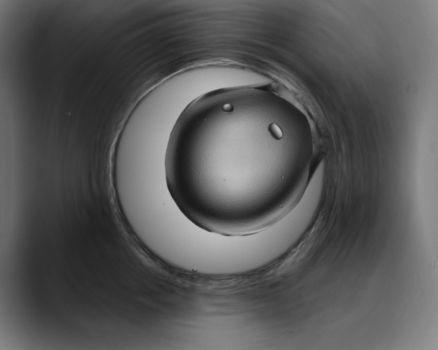 X0000088920858200707061402