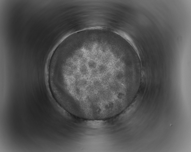 X0000088920859200707061402
