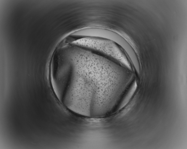 X0000088920862200707061402