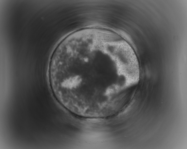 X0000088920863200707061402