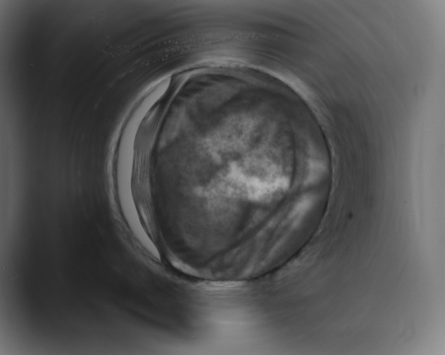 X0000088920864200707061402