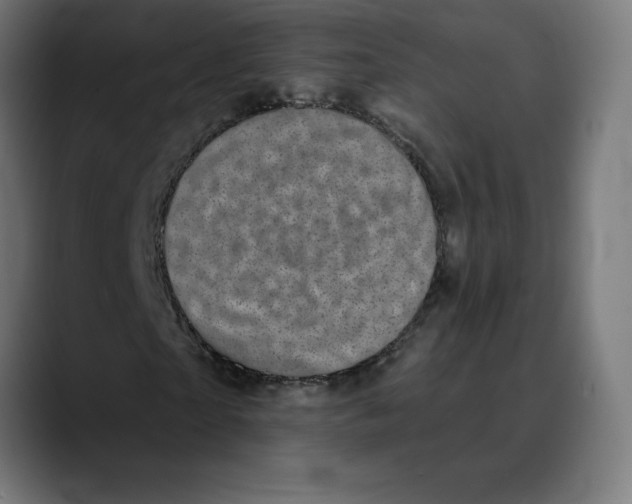 X0000088920865200707061401