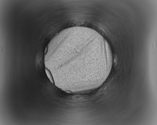 X0000088920867200707061401