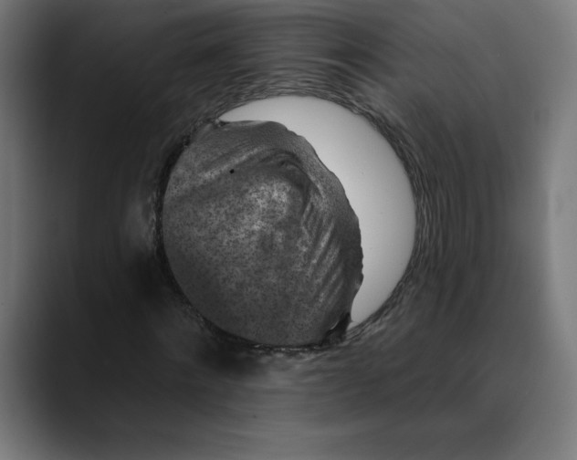 X0000088920868200707061401