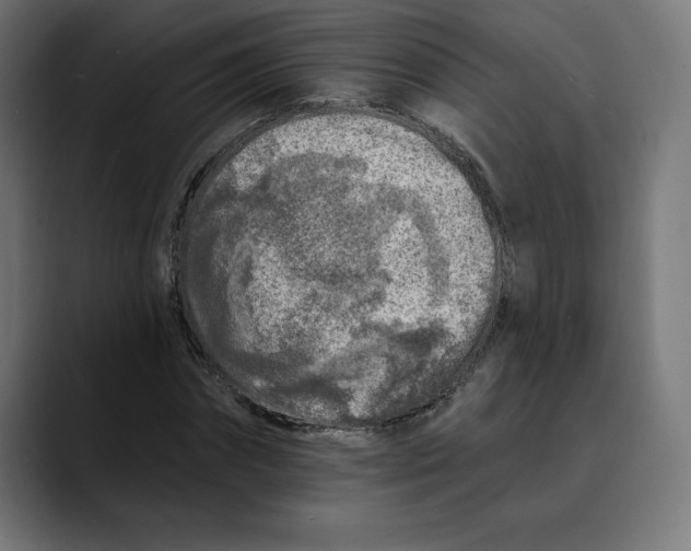 X0000088920874200707061401