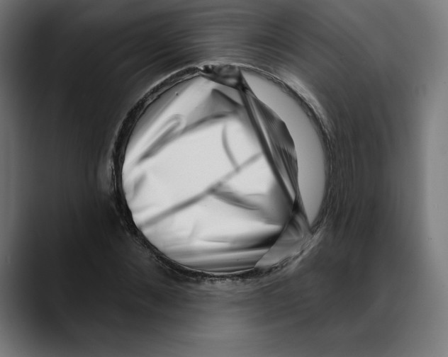 X0000088920876200707061401