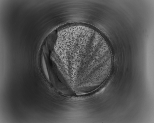 X0000088920877200707061401