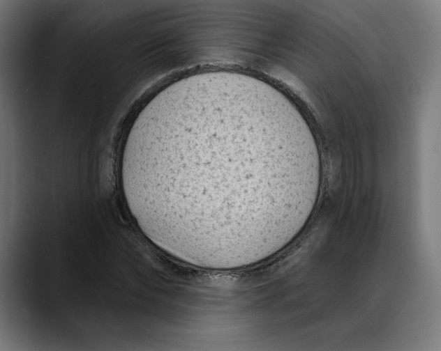 X0000088920878200707061401