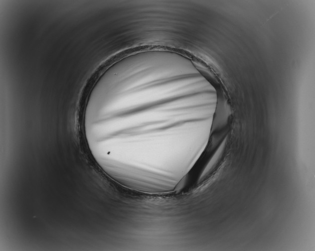 X0000088920880200707061401
